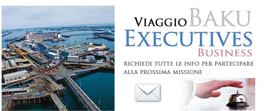 Viaggi Executives